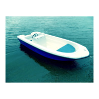 Стеклопластиковый катер Wyatboat-430С